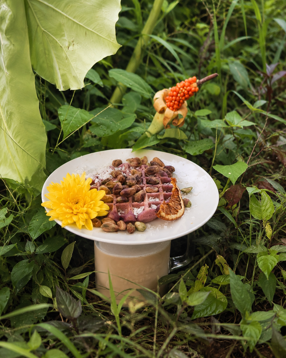 A deep-purple pigmented lentil waffle plated with pistachios, coconut and dried orange, set among tropical jungle leaves β The Lentil Waffle by Recoded, Phuket Cleanse