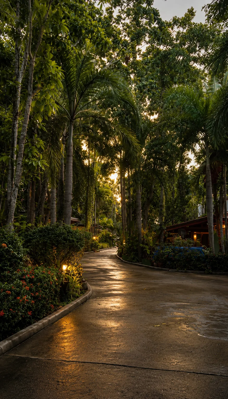 Jungle pathway at Phuket Cleanse at dusk