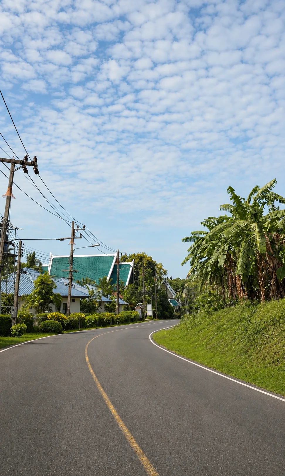 Winding village road through lush Rawai neighbourhood